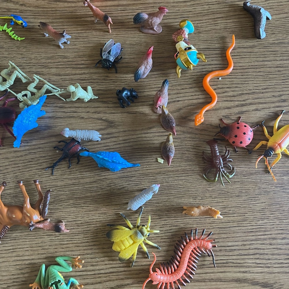 Toy - Picture 3 of 5